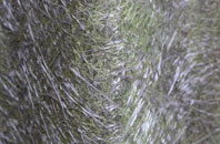 Duddon fibreglass roof work